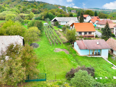 Pozemok na výstavbu s viničom blízko Dudiniec v obci Hontianske Tesáre