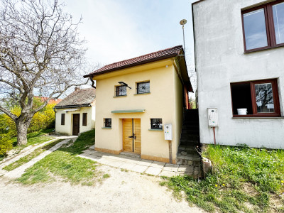 Vinohradnícky domček po reko aj s vinohradom, za Líštinami