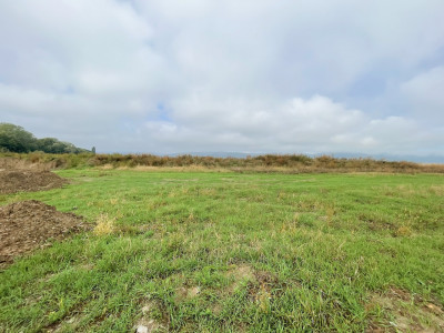 Exkluzívny stavebný pozemok s panorámou Malých Karpát