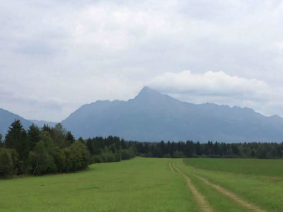 POZEMOK   2 374 m2  Liptovský Ján  okr. Liptovský Mikuláš