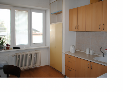 Slnečný 1 izb. byt v centre Zvolena
