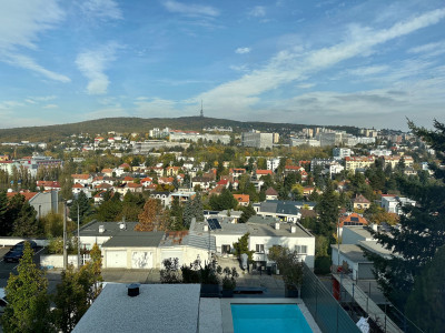 Vila pri Horskom parku na predaj