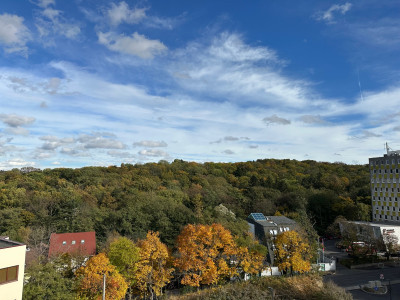 4 izbový byt pri Horskom parku na predaj