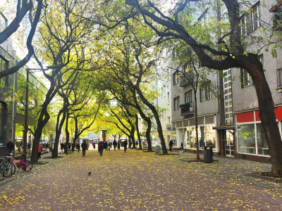 PRENÁJOM - Prémiové nebytové priestory s výkladmi do ulice v centre Bratislavy - BA I