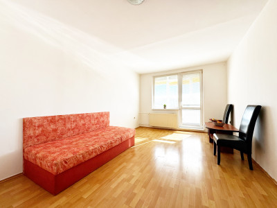 Dostupná garzónka s nízkymi nákladmi v žiadanej lokalite, L. Svobodu