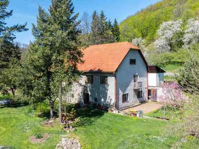 Čarovná usadlosť - rodinný dom (bývalý mlyn) na polosamote s obrovským oploteným pozemkom 9 232m2  – Janova Lehota