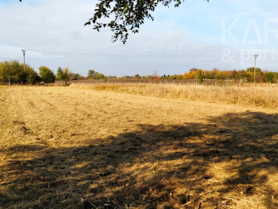 Predaj záhrada: odčlenená novozameraná parcela cca.700m2, Palárikovo