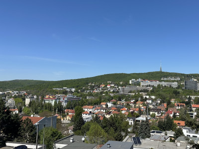 Vila s bazénom pri Horskom parku na prenájom