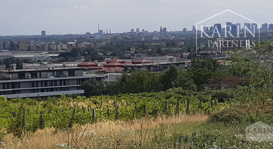 NA PREDAJ  POZEMOK NA INVESTÍCIU BRATISLAVA –RAČA , KAMILKOVÁ UL.