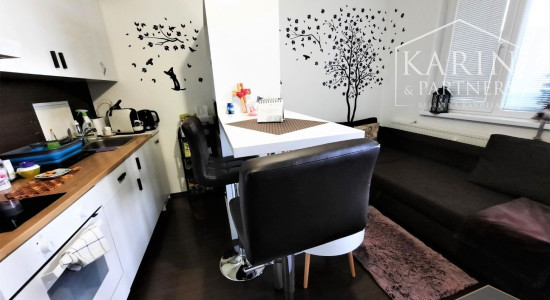 PREDANÝ  : NA PREDAJ - GARSÓNKA DE LUXE - BRATISLAVA - PETRŽALKA - MLYNAROVIČOVÁ