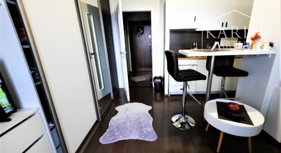 PREDANÝ  : NA PREDAJ - GARSÓNKA DE LUXE - BRATISLAVA - PETRŽALKA - MLYNAROVIČOVÁ