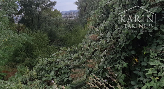 NA PREDAJ  POZEMOK NA INVESTÍCIU BRATISLAVA –RAČA , KAMILKOVÁ UL.