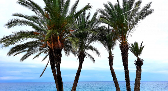 PREDAJ POZASTAVENÝ (PREBIEHA KOMPLETNÁ REKONŠTRUKCIA) : INVESTIČNÝ RODINNÝ DOM S TERASOU A VÝHĽADOM NA MORE – ŠPANIELSKO – LA HERRADURA