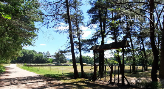 PREDANÝ  - NA PREDAJ: ZÁHRADA S CHATKOU PRI LESE, 412 M2, LOZORNO