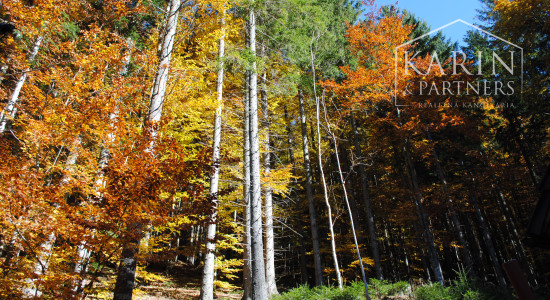 Rekreačná chata - v krásnom vysokohorskom prostredí v srdci Nízkych Tatier.