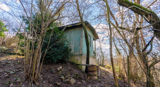 Rekreačný pozemok s chatkou | voda | elektrina | Lamač, Zlatá Hora