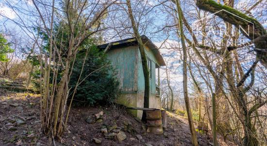 Pozemok s chatkou (1633 m²) v prostredí Bratislavského lesa – Lamač, Zlatá Hora