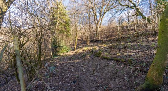 Pozemok s chatkou (1633 m²) v prostredí Bratislavského lesa – Lamač, Zlatá Hora