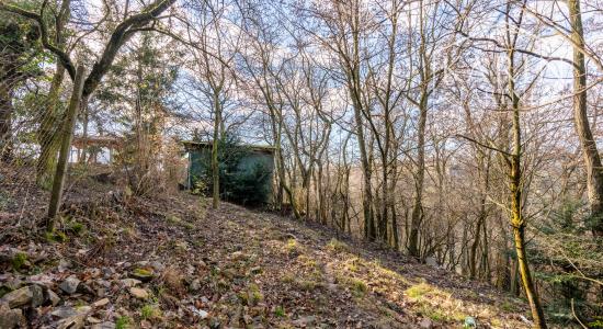 Pozemok s chatkou (1633 m²) v prostredí Bratislavského lesa – Lamač, Zlatá Hora