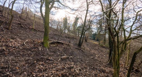 Pozemok s chatkou (1633 m²) v prostredí Bratislavského lesa – Lamač, Zlatá Hora