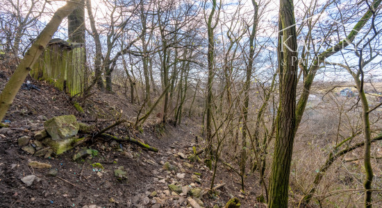 Pozemok s chatkou (1633 m²) v prostredí Bratislavského lesa – Lamač, Zlatá Hora