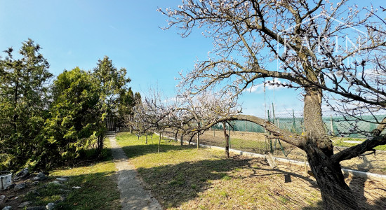 ZĽAVA Záhradná chata s kúrením, elektrinou a studňou, Holíč - Kamenica