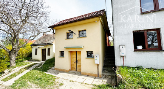 Vinohradnícky domček po reko aj s vinohradom, za Líštinami