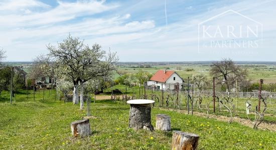 Vinohradnícky domček po reko aj s vinohradom, za Líštinami