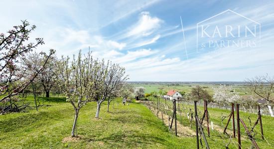Vinohradnícky domček po reko aj s vinohradom, za Líštinami