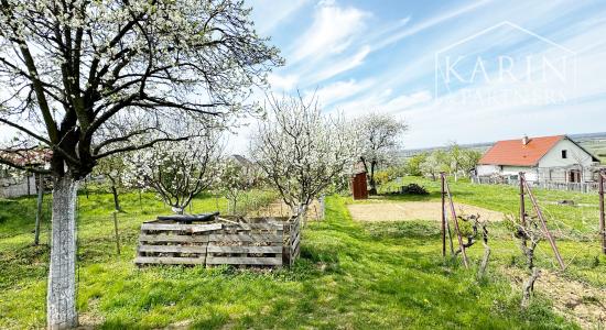 Vinohradnícky domček po reko aj s vinohradom, za Líštinami