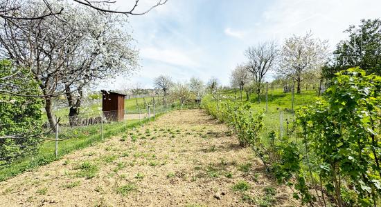 Vinohradnícky domček po reko aj s vinohradom, za Líštinami