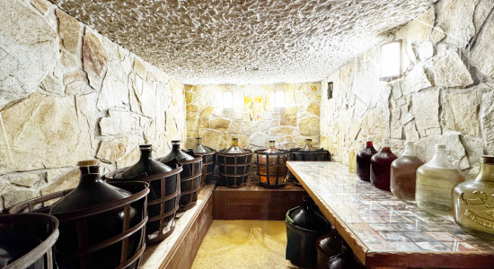 Vinohradnícky domček po reko aj s vinohradom, za Líštinami