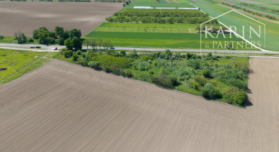 Investičný stavebný pozemok – Jarovce (Bratislava) | 2 628 m² | výborná poloha pri hraniciach s Rakúskom