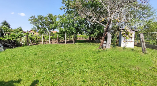 Rodinný dom s veľkým pozemkom, v obci Černík