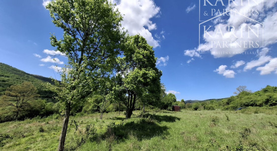 Slnečný rekreačný pozemok 5140 m2 s mobilným domom obklopený krásnou prírodou Horný Tisovník