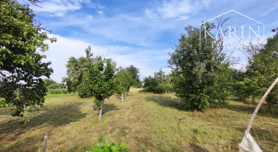 Na predaj priestranný rodinný dom s veľkým pozemkom a možnosťou ďalšej výstavby – ideálne miesto na bývanie aj investíciu