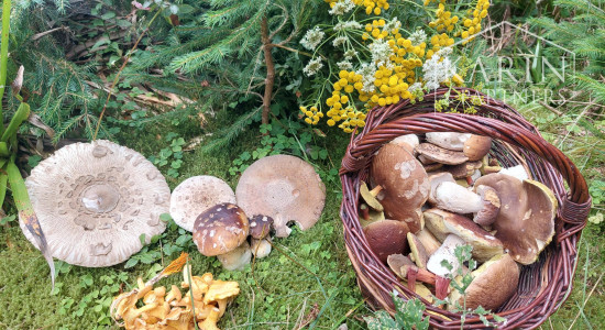 POZEMOK   2 374 m2  Liptovský Ján  okr. Liptovský Mikuláš