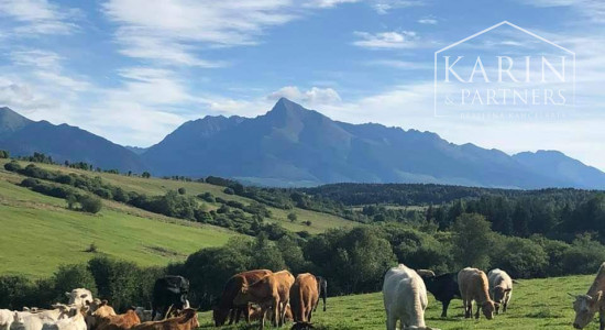 POZEMOK   2 374 m2  Liptovský Ján  okr. Liptovský Mikuláš