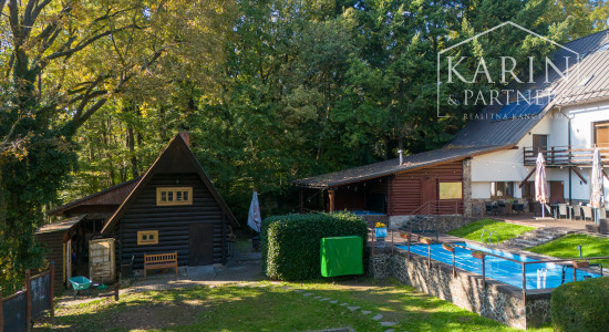 ŠTVORPODLAŽNÁ VILA S BAZÉNOM, WELLNESSOM A KOLIBOU V MODRE - HARMÓNIA