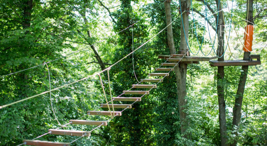 ŠTVORPODLAŽNÁ VILA S BAZÉNOM, WELLNESSOM A KOLIBOU V MODRE - HARMÓNIA