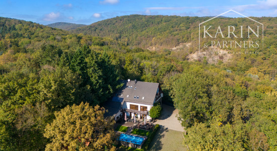 ŠTVORPODLAŽNÁ VILA S BAZÉNOM, WELLNESSOM A KOLIBOU V MODRE - HARMÓNIA