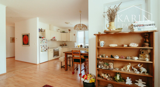 RODINNÝ DOM 4i S VEĽKOU ZÁHRADOU – BÍLKOVE HUMENCE