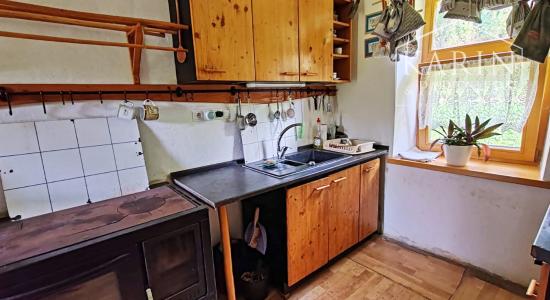 Chalupa pod lesom s ovocným sadom, 4144 m2, Nová Bošáca.