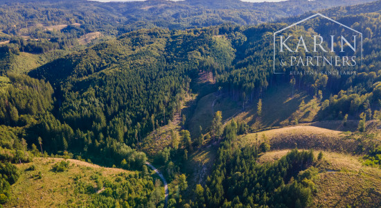 HOSPODÁRSKY LES V OBCI BUDIŠ V OKRESE TURČIANSKE TEPLICE