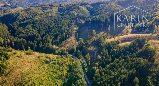 HOSPODÁRSKY LES V OBCI BUDIŠ V OKRESE TURČIANSKE TEPLICE