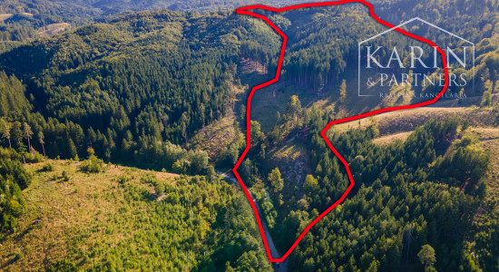 HOSPODÁRSKY LES V OBCI BUDIŠ V OKRESE TURČIANSKE TEPLICE