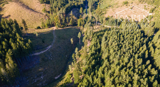 HOSPODÁRSKY LES V OBCI BUDIŠ V OKRESE TURČIANSKE TEPLICE