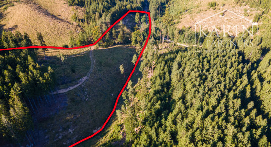 HOSPODÁRSKY LES V OBCI BUDIŠ V OKRESE TURČIANSKE TEPLICE