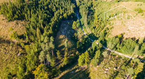 HOSPODÁRSKY LES V OBCI BUDIŠ V OKRESE TURČIANSKE TEPLICE