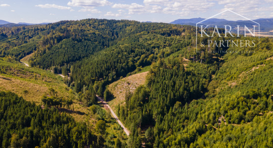 HOSPODÁRSKY LES V OBCI BUDIŠ V OKRESE TURČIANSKE TEPLICE